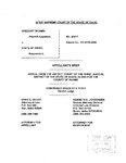McAmis v. State Appellant's Brief Dckt. 40417