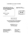 Rollins v. Blaine County Appellant's Brief Dckt. 33658