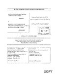 Burns Holdings v. Madison County Bd. Appellant's Brief Dckt. 33753