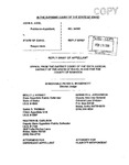 Judd v. State Appellant's Reply Brief Dckt. 34408