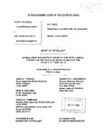 State v. Calvillo Appellant's Brief Dckt. 39529