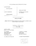 State v. Meyer Appellant's Brief Dckt. 42699
