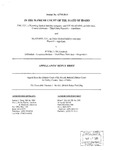 JBM, LLC v. Cintorino Appellant's Reply Brief Dckt. 42718