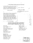Marek v. Hecla, Ltd Appellant's Brief Dckt. 43269
