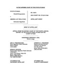 State v. Diaz Appellant's Brief Dckt. 43870