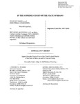 State v. Sky Down Skydiving LLC Appellant's Brief Dckt. 47077