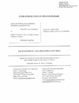 Sommer v. Misty Valley, LLC Respondent's Brief Dckt. 48007