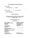State v. Clayton Appellant's Brief Dckt. 38324