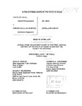 State v. McBride Appellant's Brief Dckt. 38667