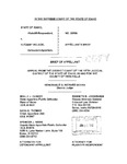 State v. McLeod Appellant's Brief Dckt. 38886