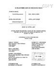 State v. Nielsen Appellant's Brief Dckt. 39655
