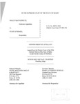 Schultz v. State Appellant's Brief Dckt. 40391