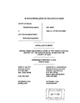 State v. Paez Appellant's Brief Dckt. 40491