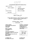 Hill v. State Appellant's Brief Dckt. 40570