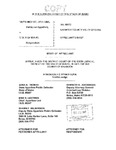 Williams v. State Appellant's Brief Dckt. 40652