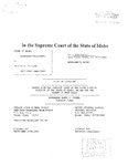 Flieger v. State Appellant's Brief 1 Dckt. 40690