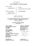 State v. Struhs Appellant's Brief Dckt. 40941
