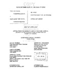 State v. Scott Appellant's Brief Dckt. 41343