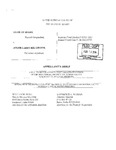 State v. Hillbroom Appellant's Brief Dckt. 41533