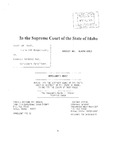 May v. State Appellant's Brief Dckt. 41676