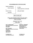 Anderson v. State Appellant's Brief Dckt. 43800