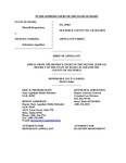 State v. Parkins Appellant's Brief Dckt. 45043