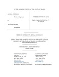 Anderson v. State Appellant's Brief Dckt. 45047
