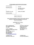 State v. Salas Appellant's Brief Dckt. 45355