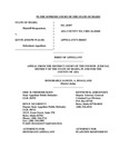 State v. Walsh Appellant's Brief Dckt. 45497