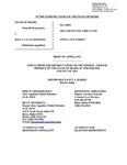 State v. Johnson Appellant's Brief Dckt. 45993