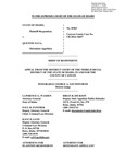 State v. Nava Respondent's Brief Dckt. 45463