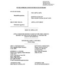 State v. Hollis Appellant's Brief Dckt. 46075